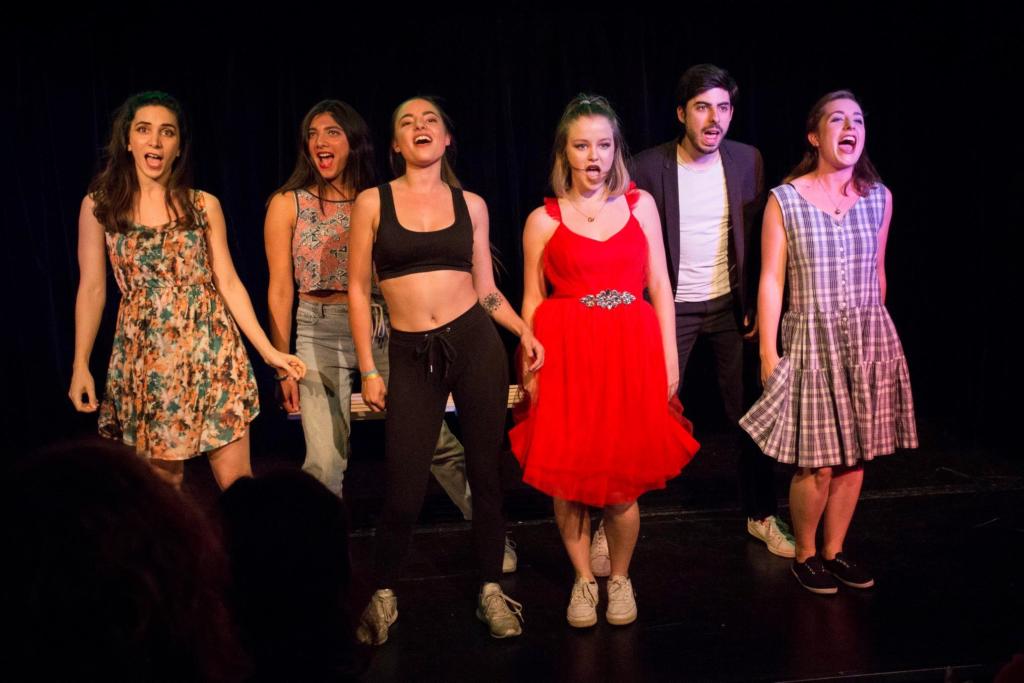comedie musicale formation pro acteur