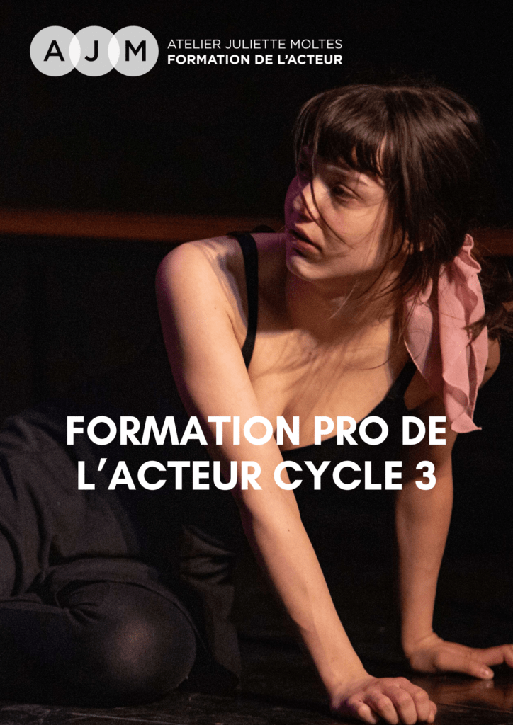 FORMATION PROFESSIONNELLE DE L’ACTEUR CYCLE 3