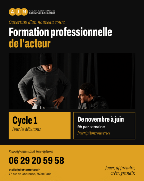 De novembre à juin : formation professionnelle pour acteurs débutants