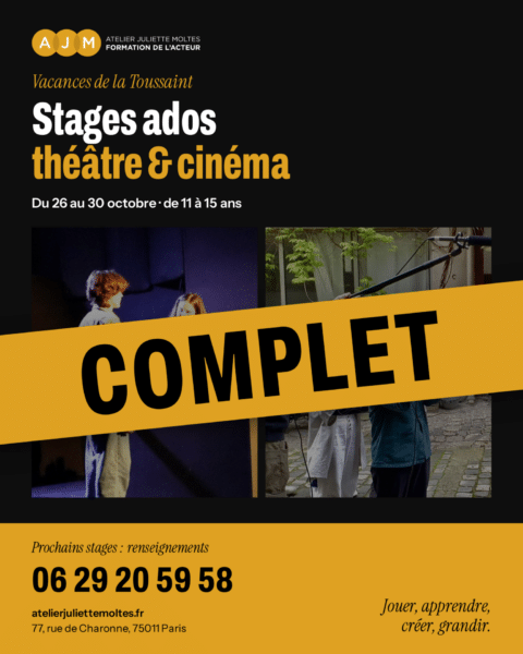 STAGE THÉÂTRE OU CINÉMA.... OU LES DEUX !